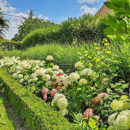 B&B Frangipani Bali Waregem Εξωτερικό φωτογραφία