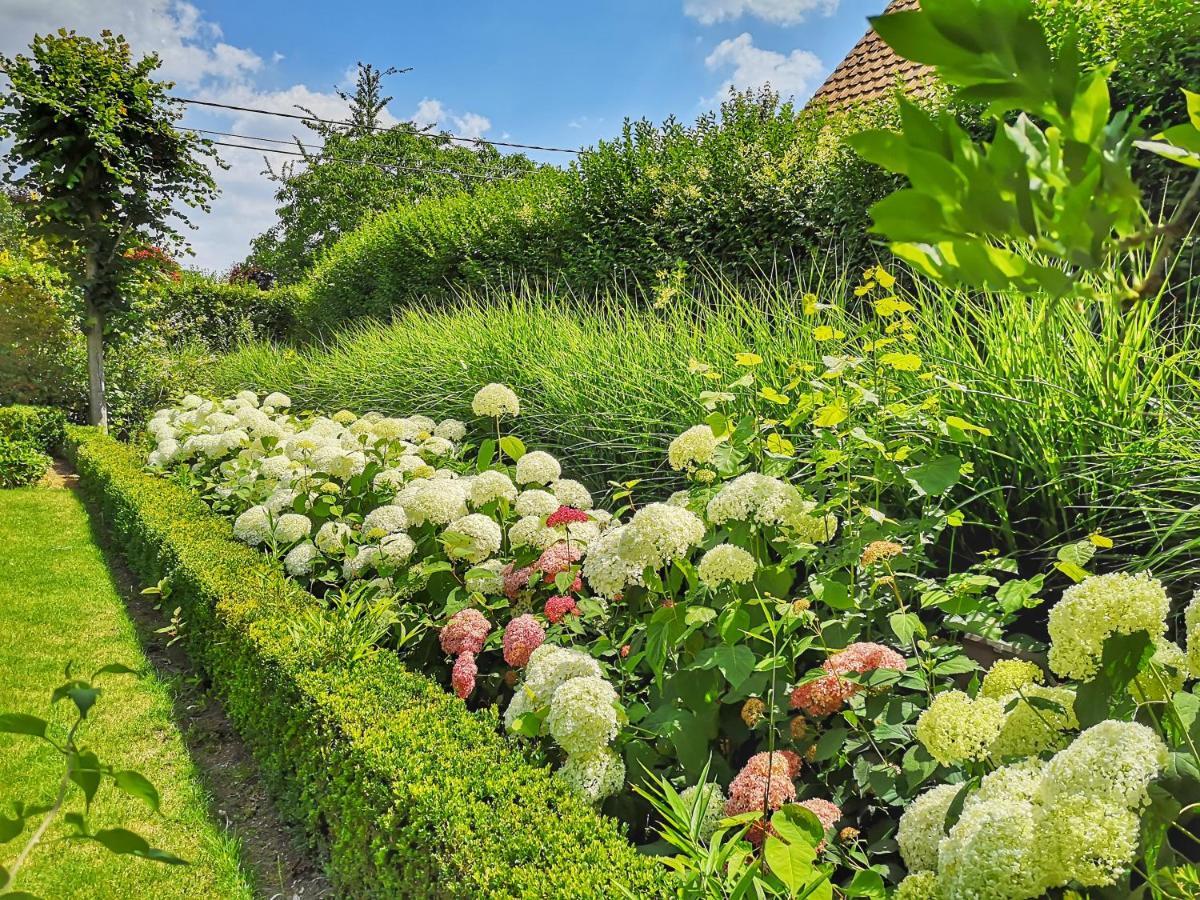 B&B Frangipani Bali Waregem Εξωτερικό φωτογραφία